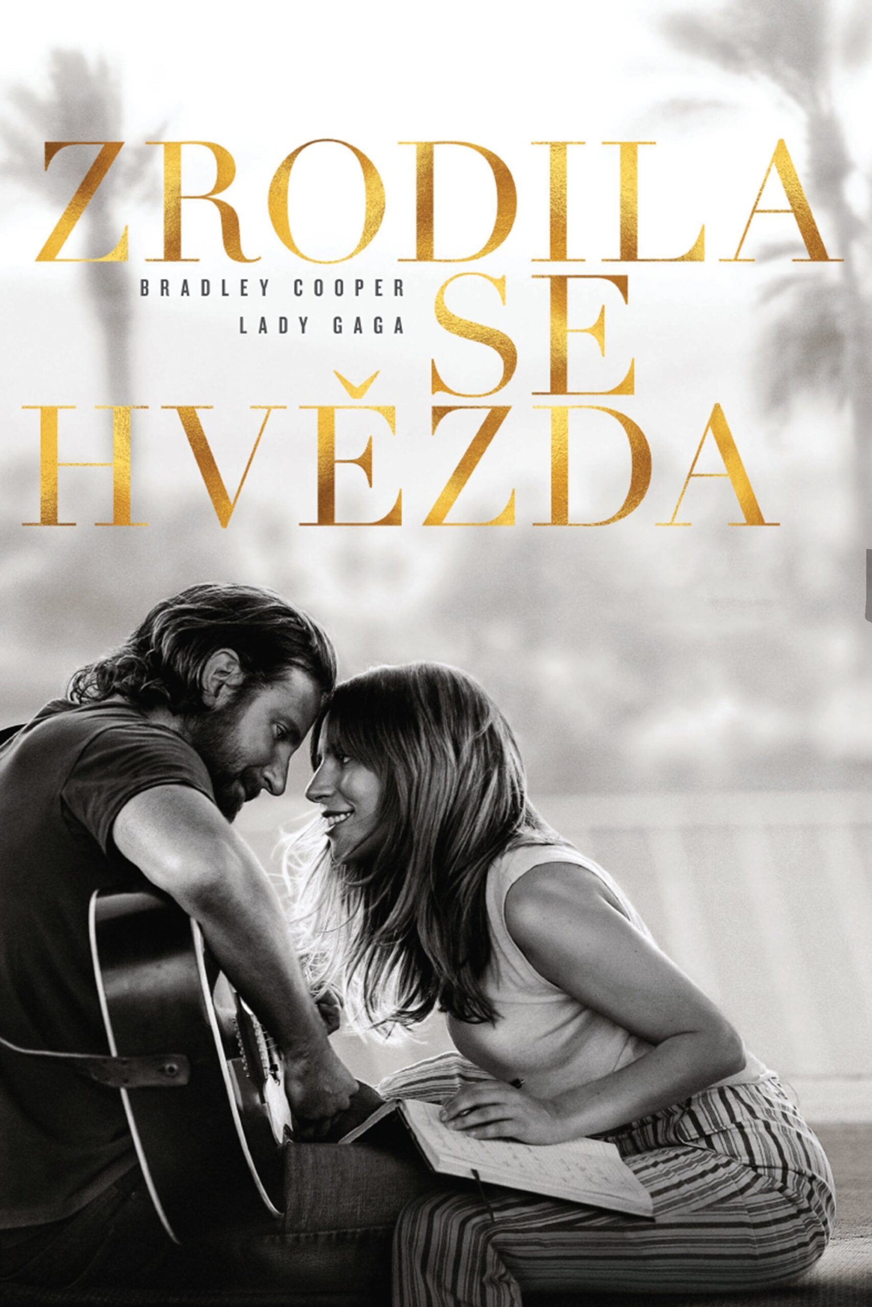 Poster for the movie "Zrodila se hvězda"