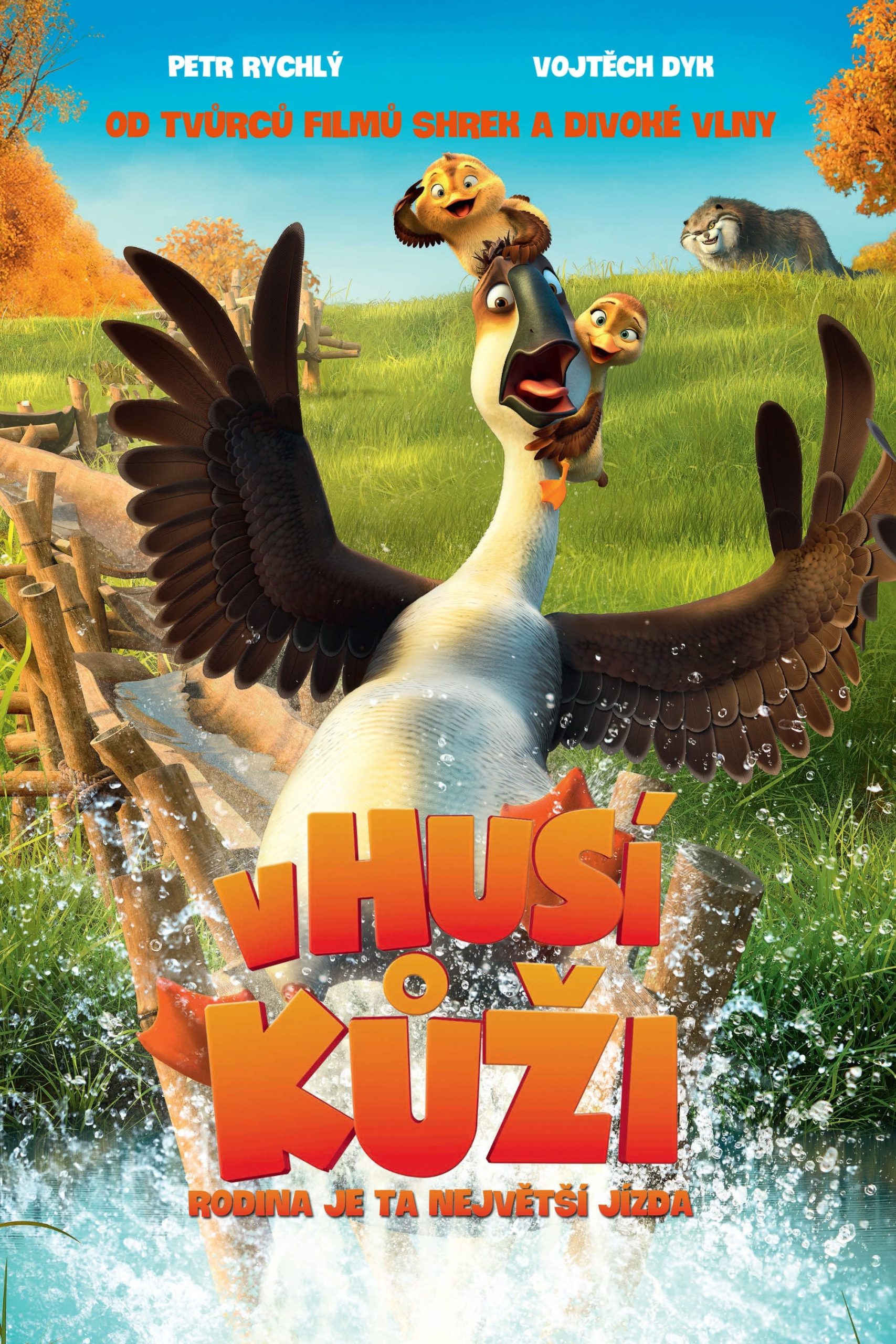 Poster for the movie "V husí kůži"