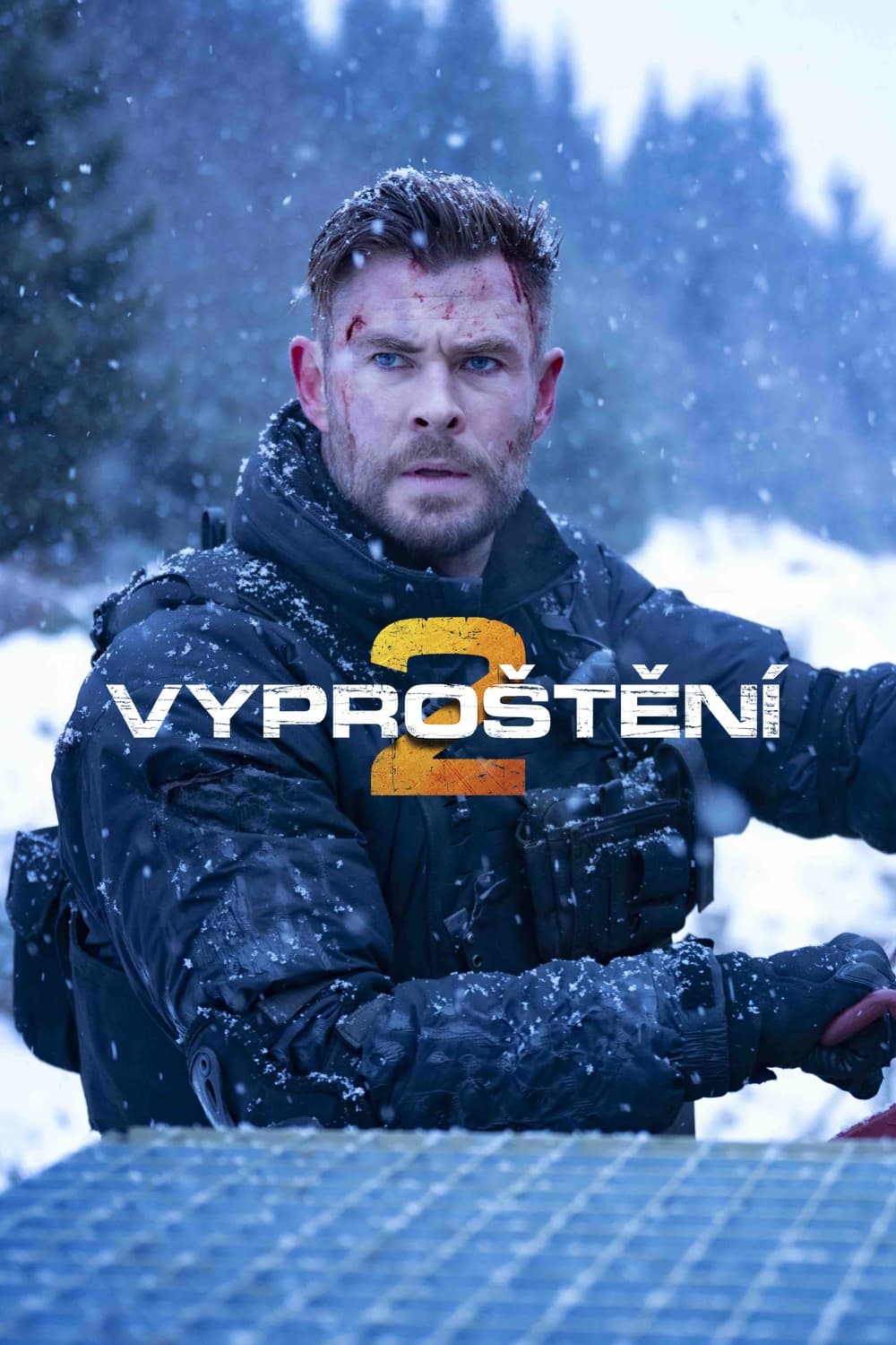 Poster for the movie "Vyproštění 2"